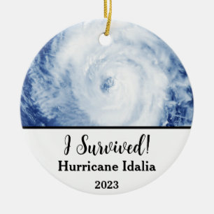 I Survived! Hurricane Idalia 2023 Ceramic Tree Decoration