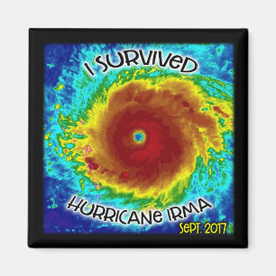 I Survived Hurricane Irma Magnet