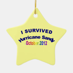 I Survived Hurricane Sandy Ornament