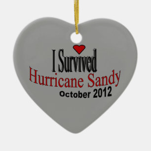 I Survived Hurricane Sandy Ornament