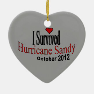 I Survived Hurricane Sandy Ornament