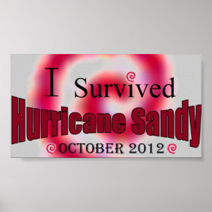 I Survived Hurricane Sandy Poster