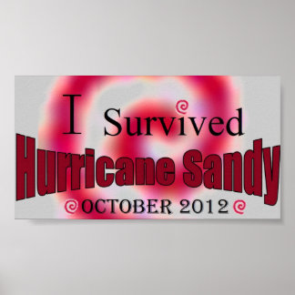 I Survived Hurricane Sandy Poster
