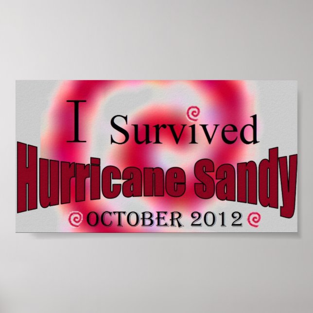I Survived Hurricane Sandy Poster (Front)