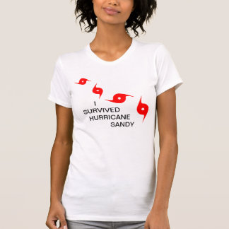 I SURVIVED  HURRICANE SANDY T-Shirt