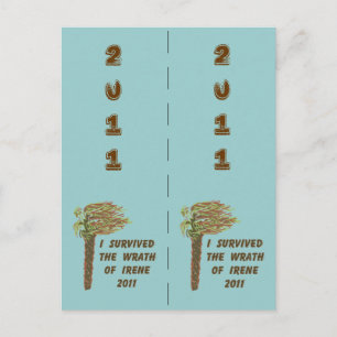 I Survived Irene Bookmarkers Postcard