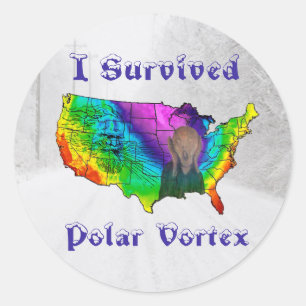 I Survived Polar Vortex Classic Round Sticker