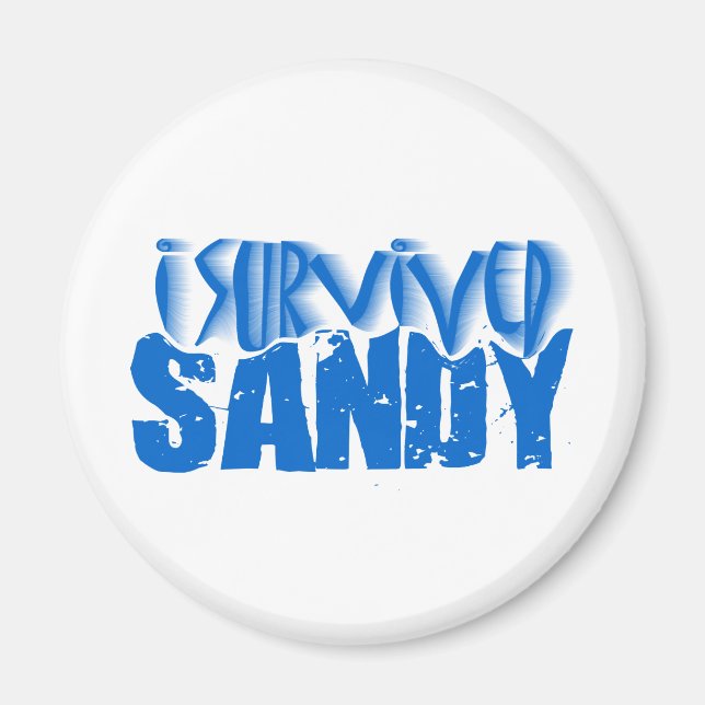 i survived SANDY Magnet (Front)
