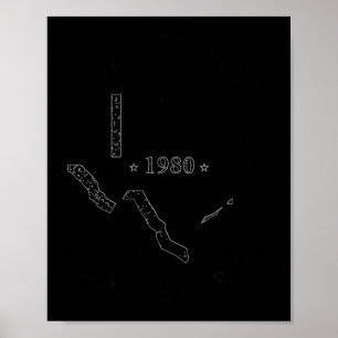 I survived the 1980 texas heat wave cool retro  poster