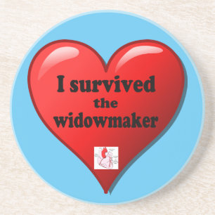 I Survived the Widowmaker Coaster