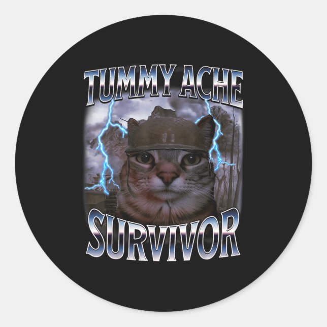 I Survived Today's Tummy Ache Funny Silly Cat Meme Classic Round Sticker (Front)