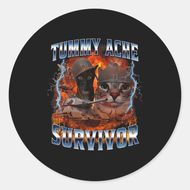 I Survived Today's Tummy Ache Funny Silly Cat Meme Classic Round Sticker (Front)