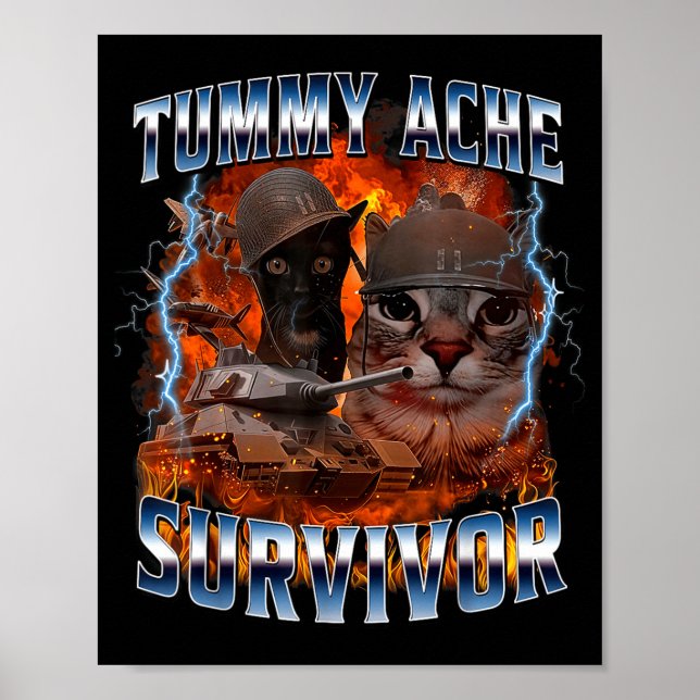 I Survived Today's Tummy Ache Funny Silly Cat Meme Poster (Front)