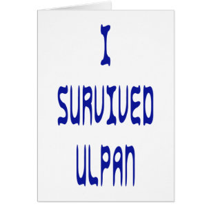 I Survived Ulpan
