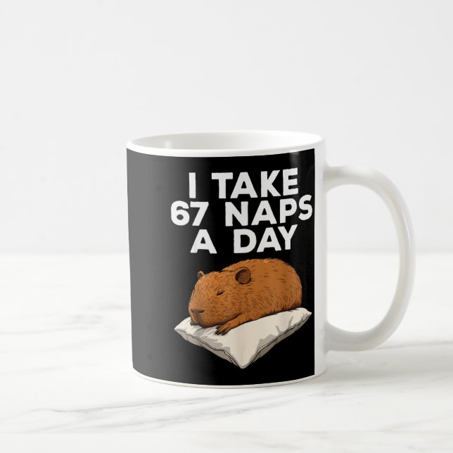 I Take 67 Naps A Day Funny Capybara Six Seven Meme Coffee Mug (Right)