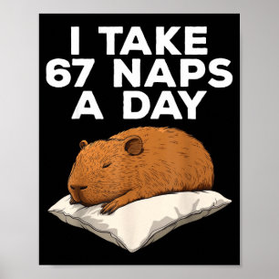 I Take 67 Naps A Day Funny Capybara Six Seven Meme Poster