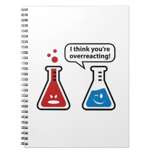 I Think You're Overreacting! Notebook