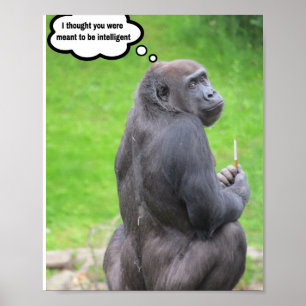I thought you were meant to be intelligent. poster