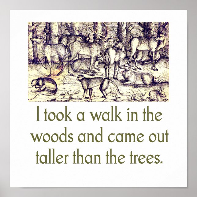I Took A Walk In The Woods - quote Poster (Front)