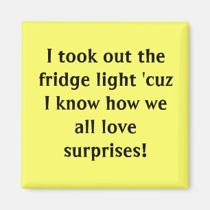 I took out the fridge light 'cuz I know how we ... Magnet