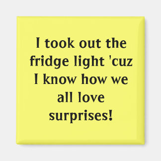 I took out the fridge light 'cuz I know how we ... Magnet