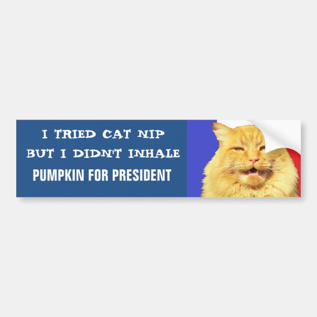 I Tried Nip, I Didn't Inhale Meme Bumper Sticker (Front)