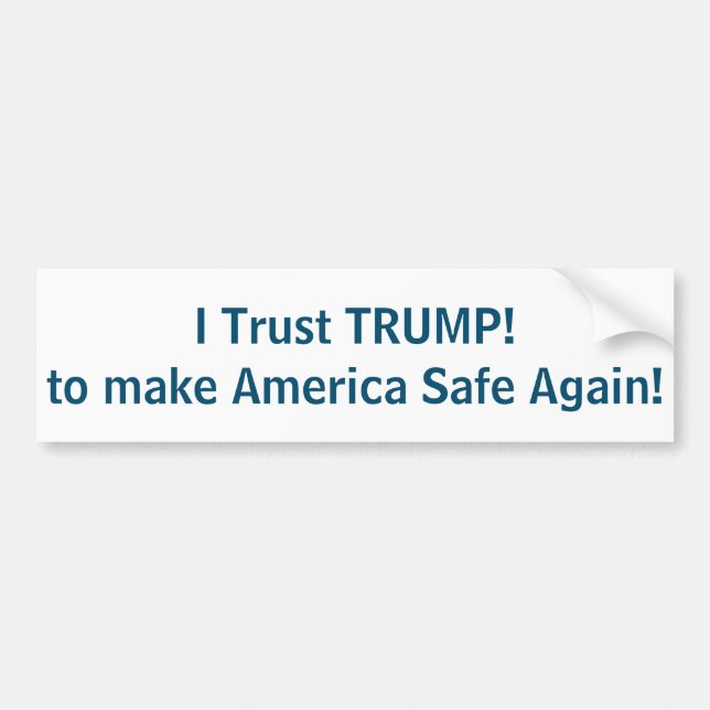 I Trust TRUMP to make America Safe again! Bumper Sticker (Front)