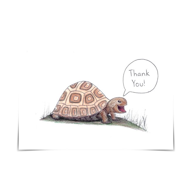 "I Turtley Appreciate It" Turtle Thank You Card (Creator Uploaded)