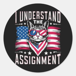 I Understand The Assignment Cat Childless Cat Lady Classic Round Sticker