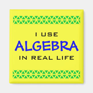 I USE ALGEBRA IN REAL LIFE MAGNET