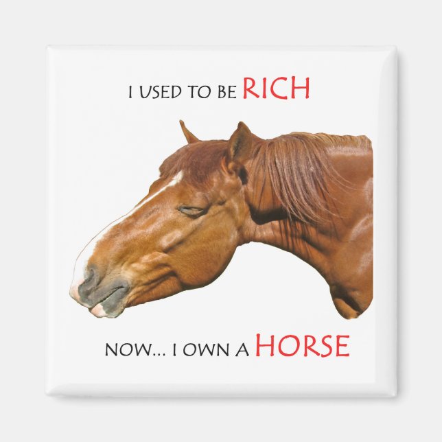 I used to be rich magnet (Front)