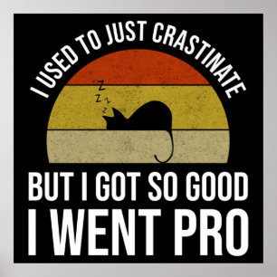 I Used To Just Crastinate Poster