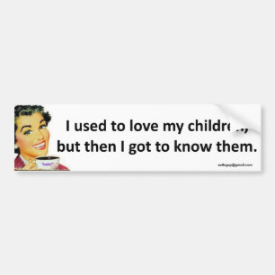 I used to love my children... bumper sticker