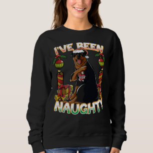 I Ve Been Naughty Rottweiler Dog With Santa Claus Sweatshirt