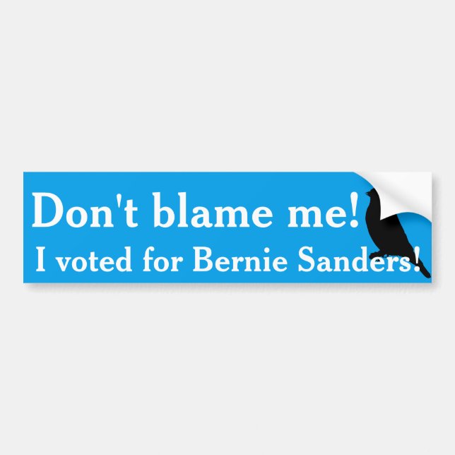 I voted for Bernie! Bumper Sticker (Front)
