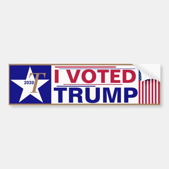 I Voted Stickers - Voting And Election Stickers-509865