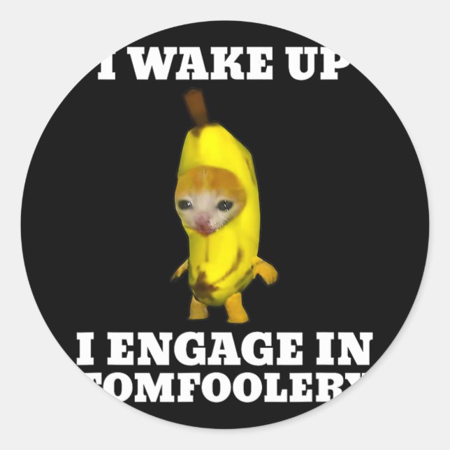 I Wake Up I Engage In Tomfoolery Cat Meme  Classic Round Sticker (Front)