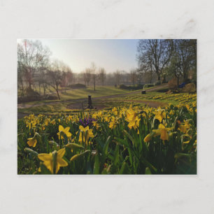 I wandered lonely as a cloud by William Wordsworth Postcard