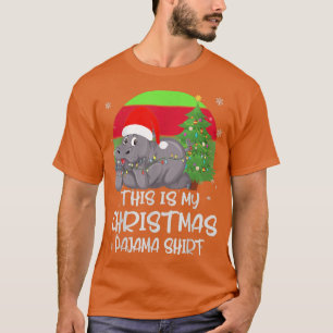 I Want A Hippopotamus For Christmas Hippo Pyjamas T-Shirt