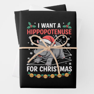 I Want A Hippopotenuse For Christmas Math Teacher Wrapping Paper Sheet