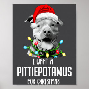 I Want A Ttietamus For Christmas Funny Tbul Poster