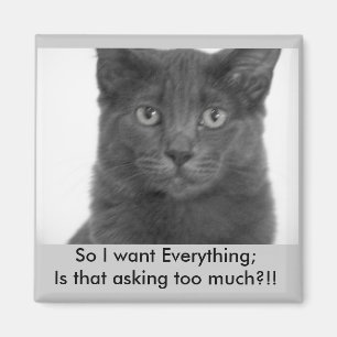 I want it all Magnet