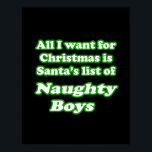 I want Santa's list of naughty boys Poster<br><div class="desc">Shirtuosity.com - Humourous Tees & Apparel Shop Cool and Kitschy Shirts,  Retro Designs,  Funny Gear,  Humour Tees,  Hilarious Hoodies,  Cool Bumper Stickers,  Buttons,  Magnets and more in our store.   http://www.Shirtuosity.com</div>
