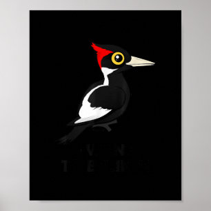 I Want To Believe Ivory-billed Woodpecker Birdorab Poster