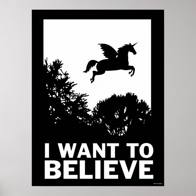 I Want To Believe Poster (Front)