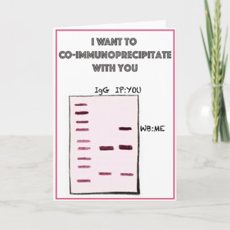 I want to co-IP with you Holiday Card