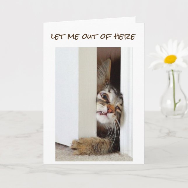 I WANT TO SAY **HAPPY 13th BIRTHDAY** TEENAGER Card (Small Plant)