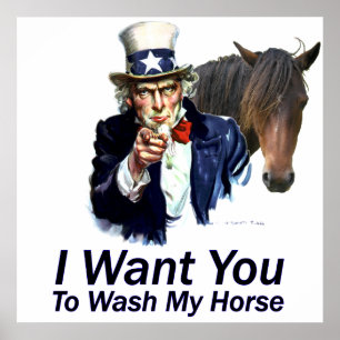 I Want You:  To Wash My Horse Poster