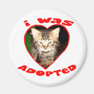 I was Adopted Magnet