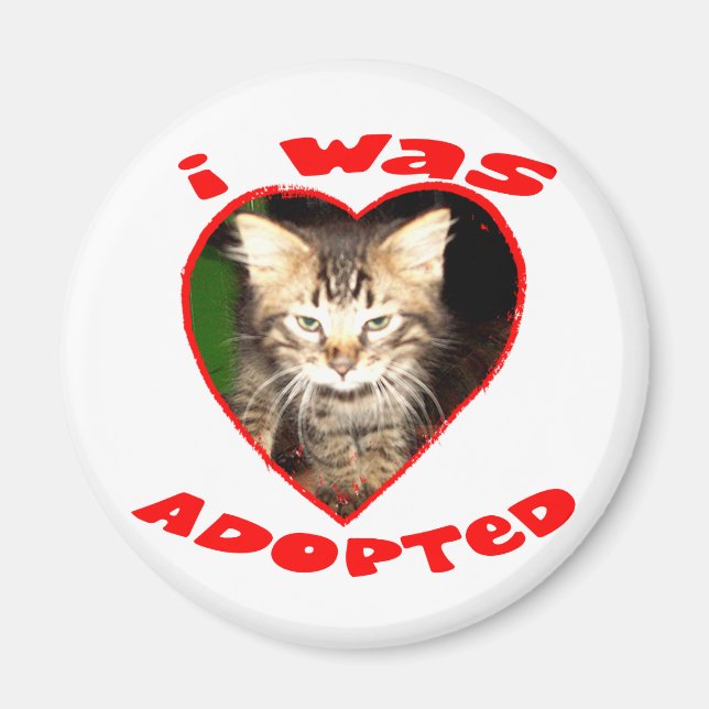 I was Adopted Magnet (Front)